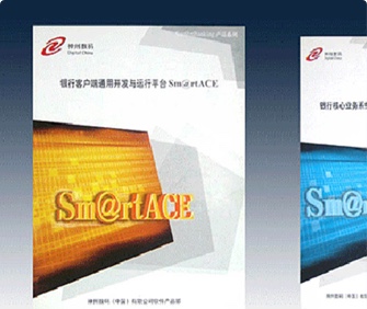 神州數(shù)碼銀?客戶端平臺宣傳冊設(shè)計(jì)